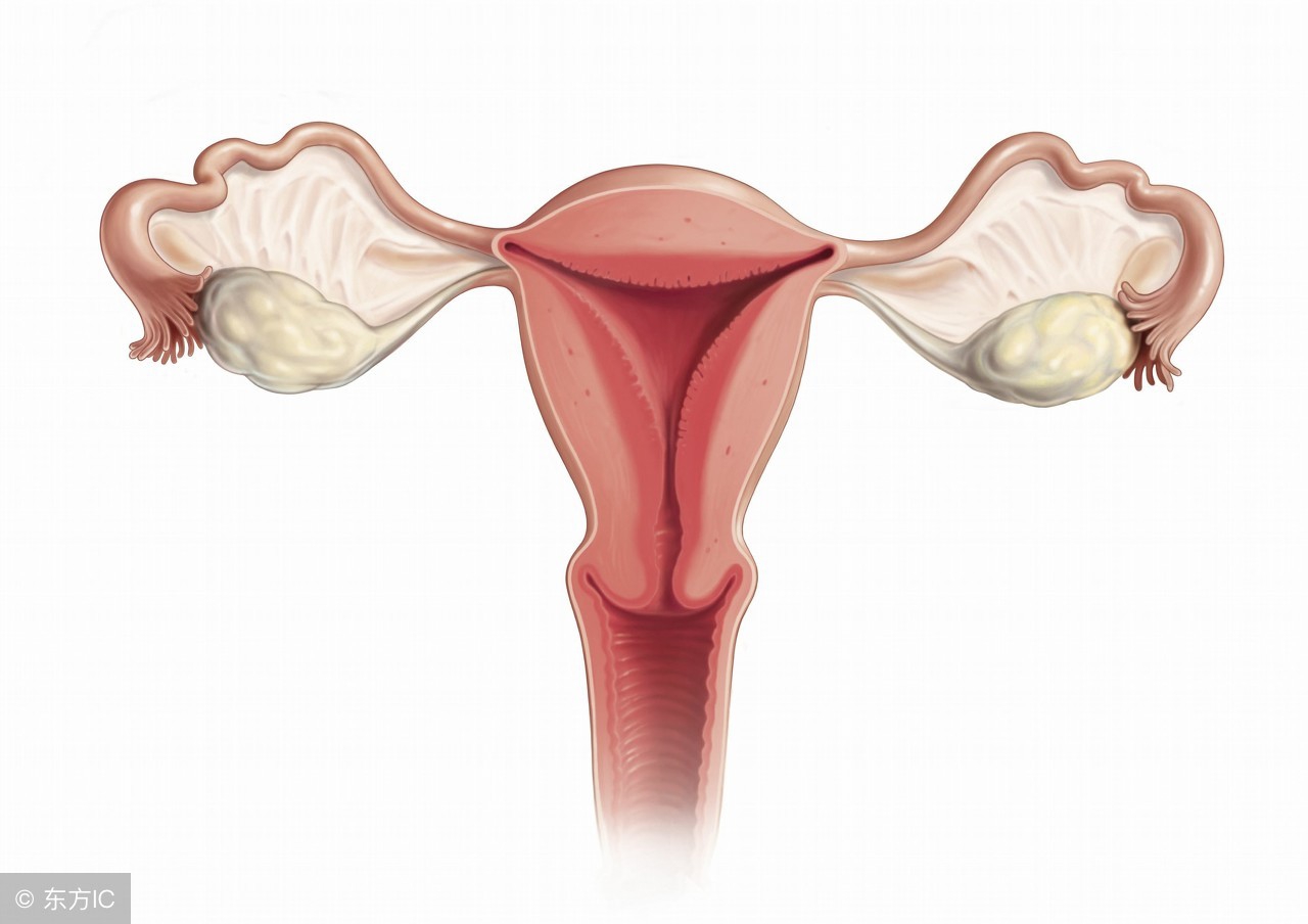 宫颈外翻(宫颈外翻需要做手术吗)
