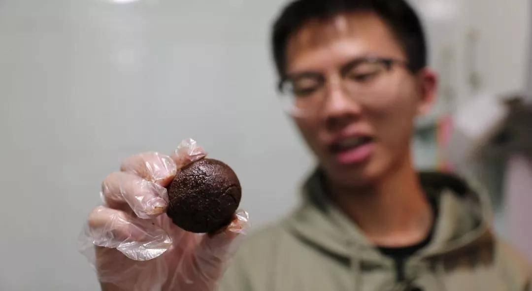 浙大学生上课炼丹药走红，课堂节节爆满老师称无意当网红