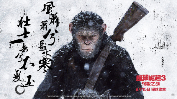 这15部以大猩猩为主角的电影，你看过哪几部？