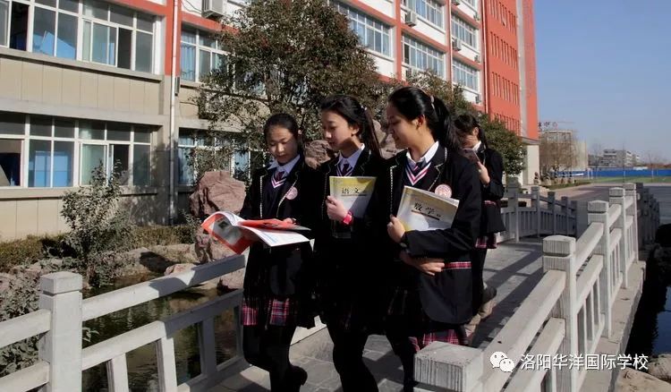 厉害了，洛阳华洋国际学校女子高中！