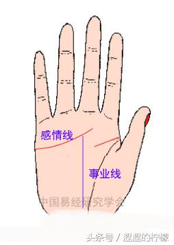 两条事业线的手掌纹代表了什么？