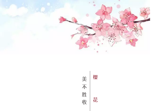 免费赏樱：许昌学院举办第二届樱花文化节，身着汉服赏樱花，美！