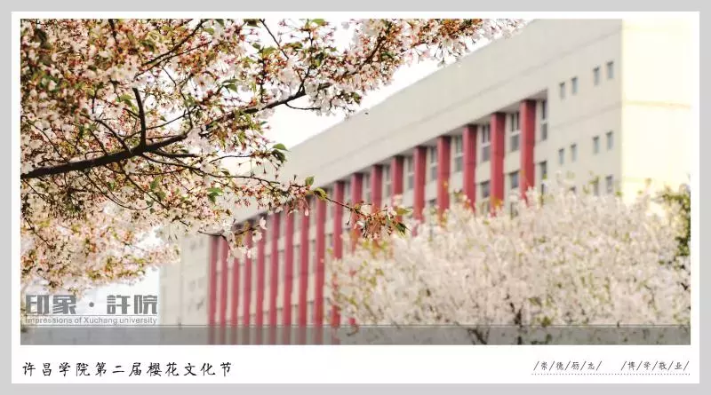 免费赏樱：许昌学院举办第二届樱花文化节，身着汉服赏樱花，美！