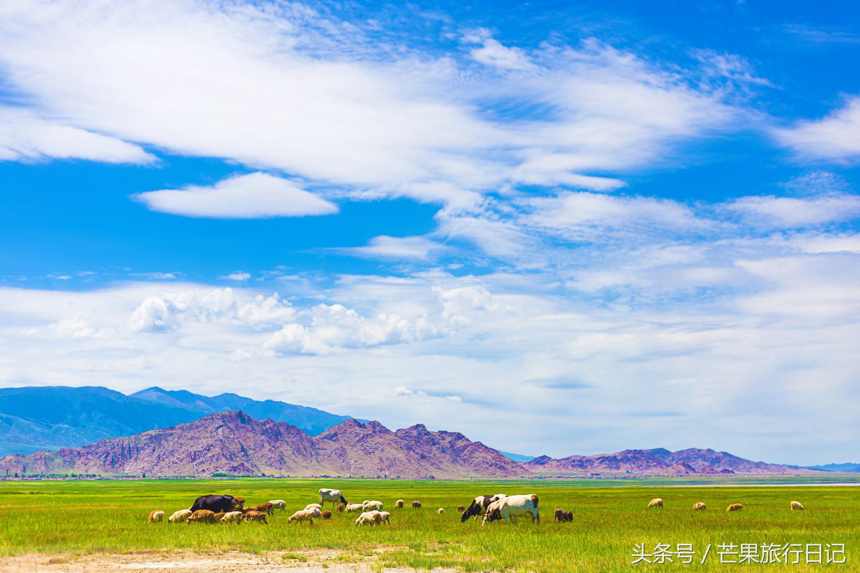 天山风景名胜区哈密最美的景点,位于东天山北坡,距哈密市约70公里,从