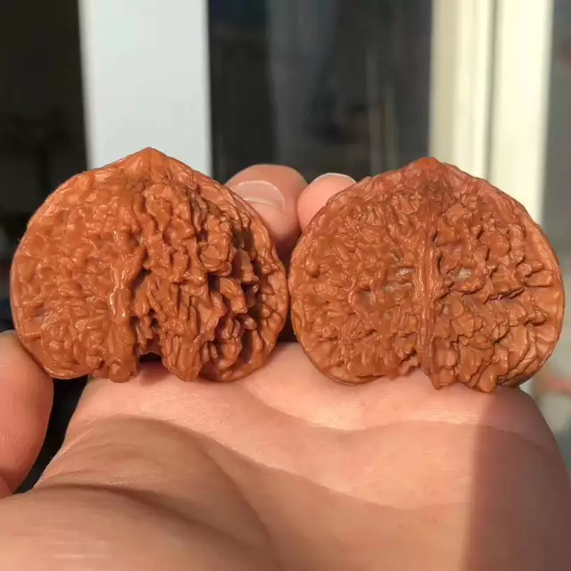 四大名核—狮子头文玩核桃种类大全,你想要的都有!