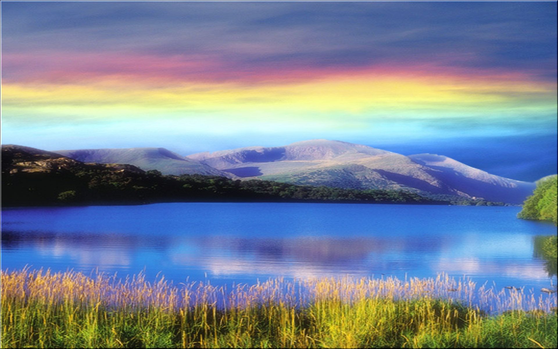 属猪人天然生成有好财气,其财气为十二生肖之首