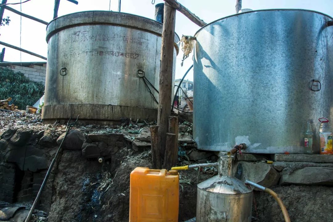 桉树油(桉树油多少钱一斤2022)-皮皮自媒体