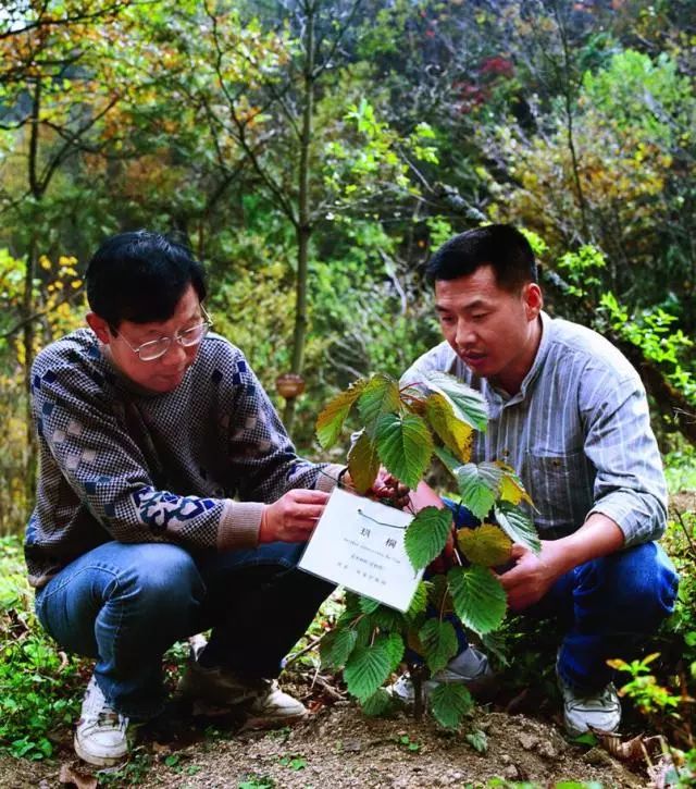 三峡工程：百年梦想今朝圆（三）