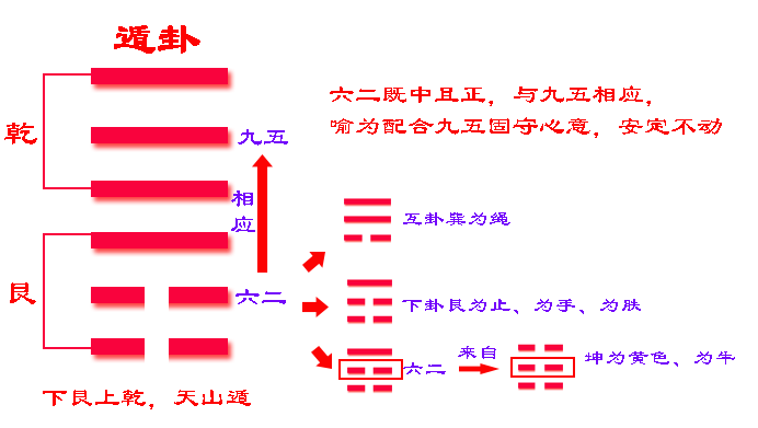 《易经》六十四卦之遁卦