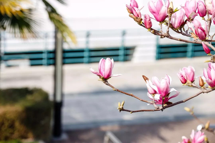 太美腻！这些高校校花哪个是你的理想型？