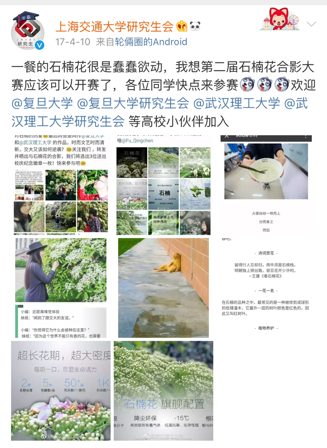 太美腻！这些高校校花哪个是你的理想型？