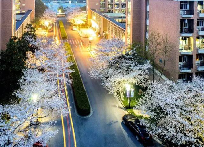 太美腻！这些高校校花哪个是你的理想型？