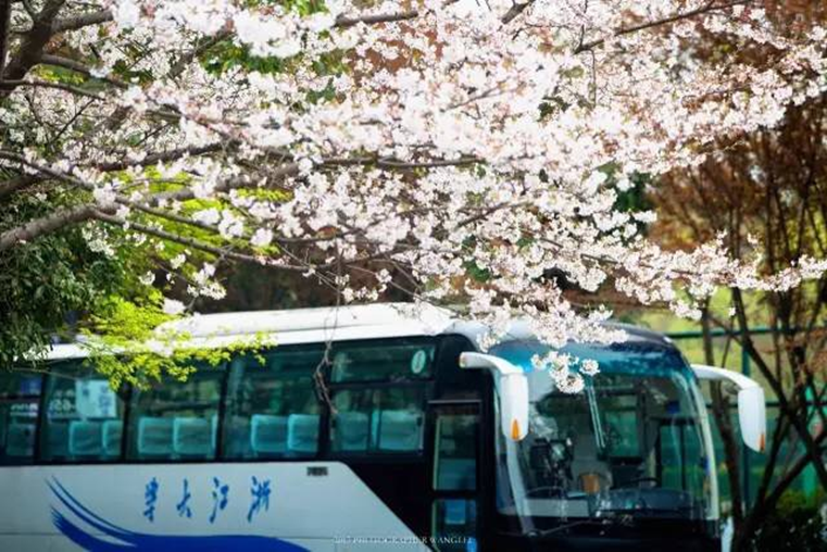 太美腻！这些高校校花哪个是你的理想型？