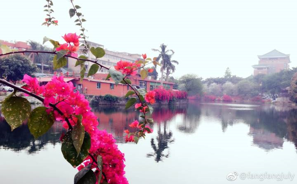 太美腻！这些高校校花哪个是你的理想型？