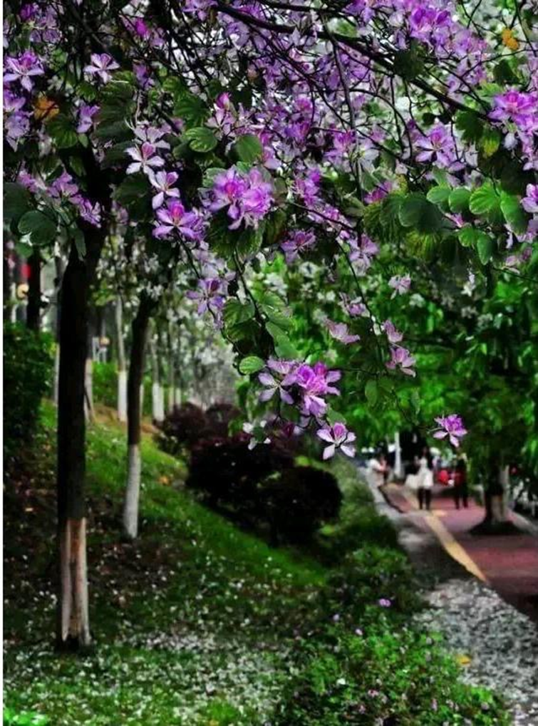 太美腻！这些高校校花哪个是你的理想型？