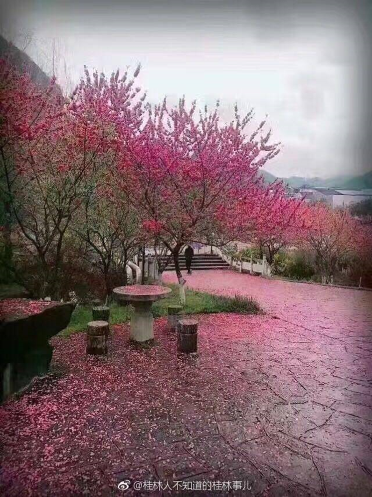 太美腻！这些高校校花哪个是你的理想型？