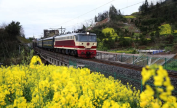 太美腻！这些高校校花哪个是你的理想型？