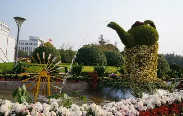 太美腻！这些高校校花哪个是你的理想型？