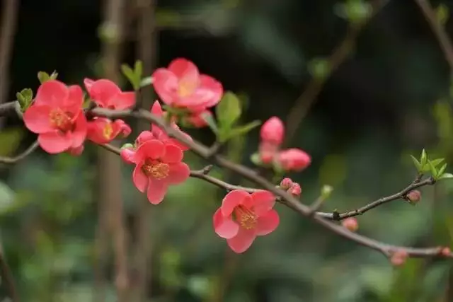 户口上出生日期和实际不符怎么办