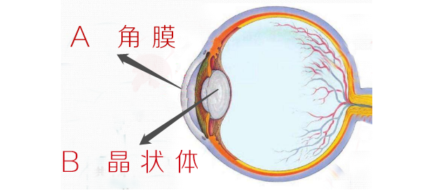 2分钟看完4条流传很广的隐形眼镜谣言