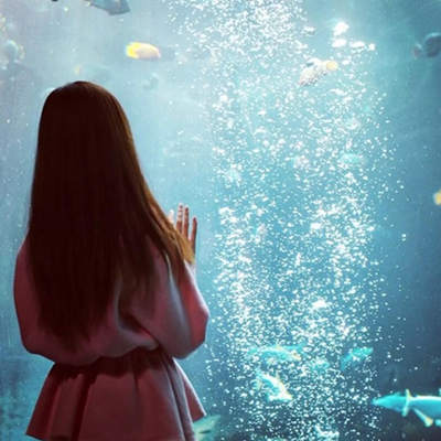 一句话可以挽回爱情的句子，建议收藏以备不时之需