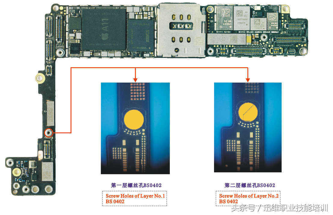 再也不怕上错螺丝，iPhone 8超清螺丝孔和断头板层图，注释很详细