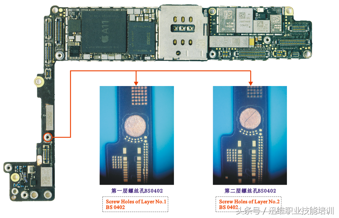 再也不怕上错螺丝，iPhone 8超清螺丝孔和断头板层图，注释很详细