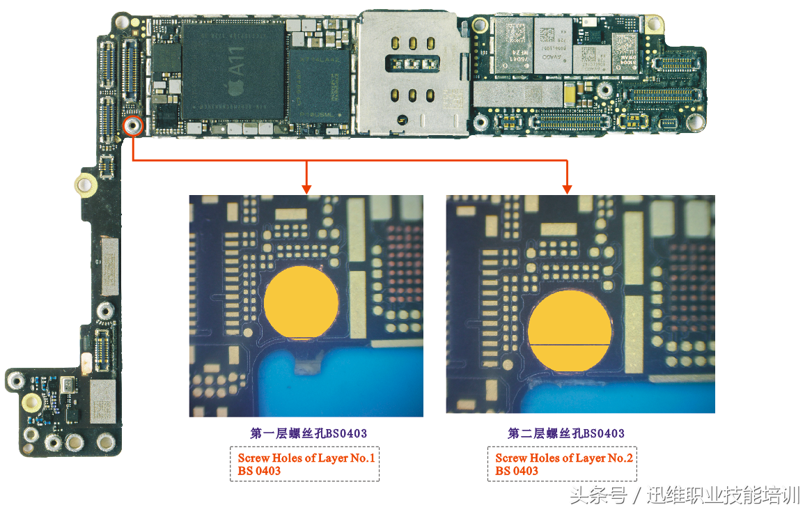 再也不怕上错螺丝，iPhone 8超清螺丝孔和断头板层图，注释很详细
