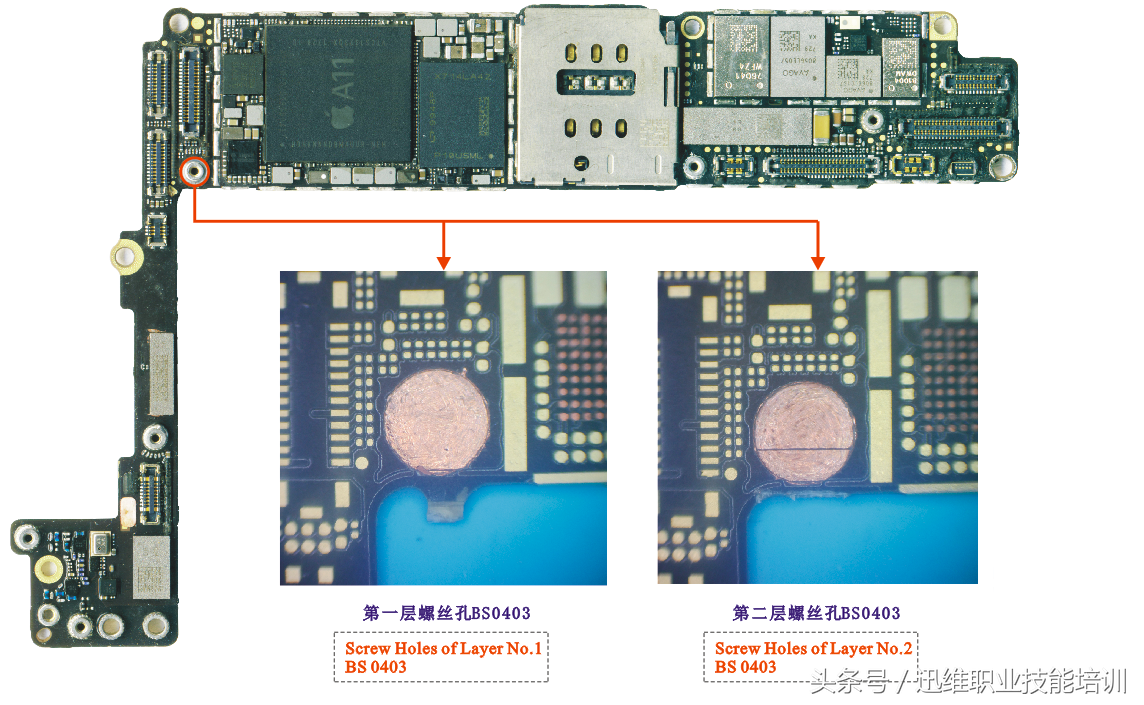 再也不怕上错螺丝，iPhone 8超清螺丝孔和断头板层图，注释很详细