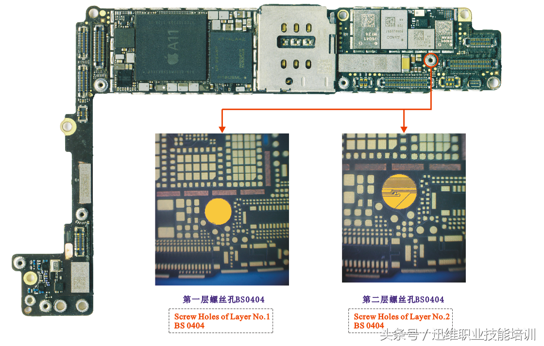 再也不怕上错螺丝，iPhone 8超清螺丝孔和断头板层图，注释很详细