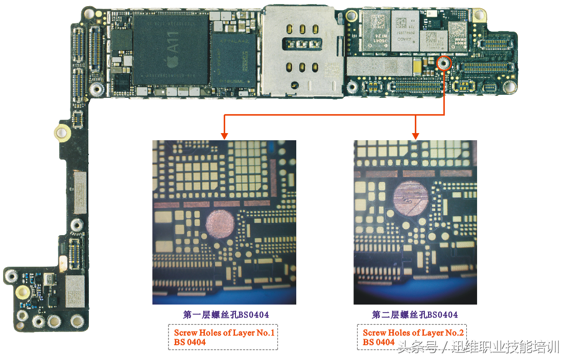 再也不怕上错螺丝，iPhone 8超清螺丝孔和断头板层图，注释很详细