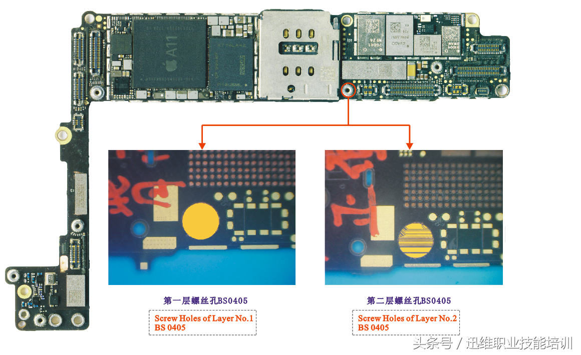 再也不怕上错螺丝，iPhone 8超清螺丝孔和断头板层图，注释很详细