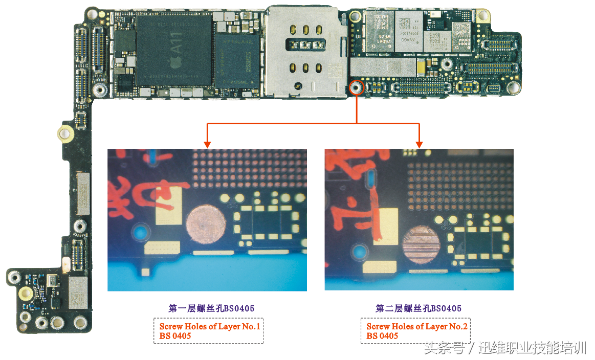 再也不怕上错螺丝，iPhone 8超清螺丝孔和断头板层图，注释很详细