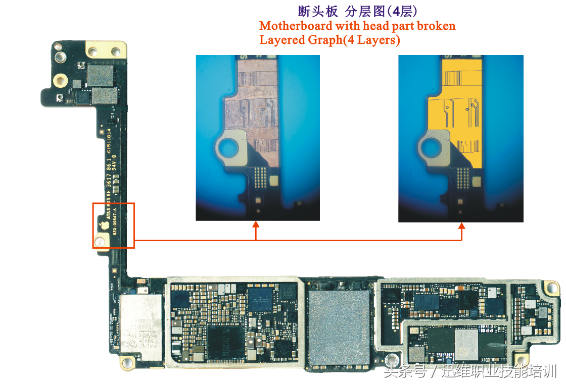 再也不怕上错螺丝，iPhone 8超清螺丝孔和断头板层图，注释很详细