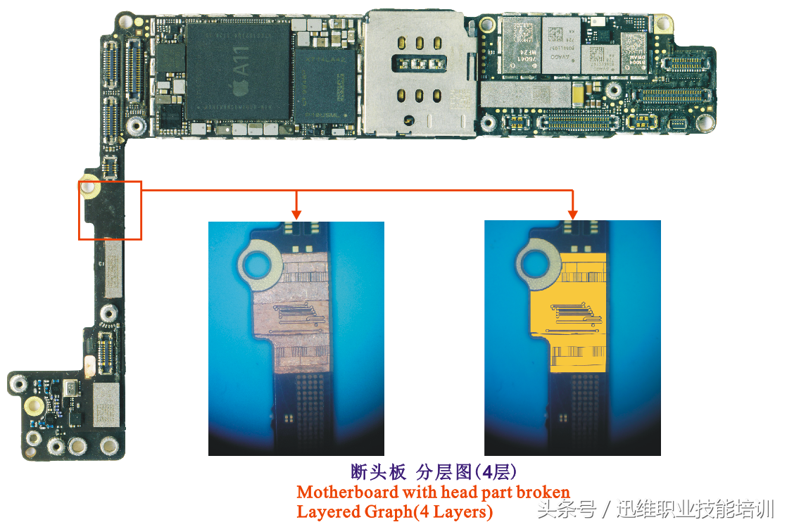 再也不怕上错螺丝，iPhone 8超清螺丝孔和断头板层图，注释很详细