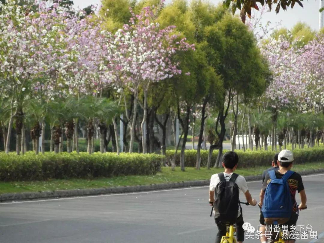 “广州大学城属于海珠区”是错觉