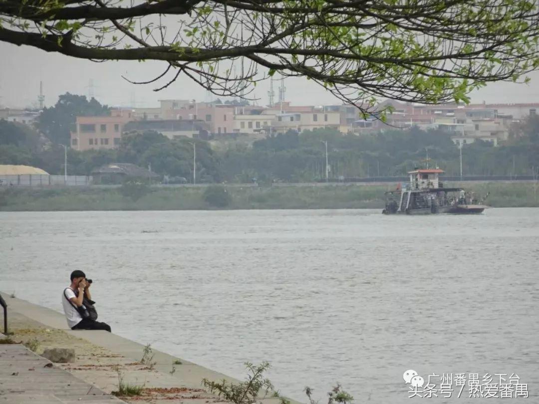 “广州大学城属于海珠区”是错觉