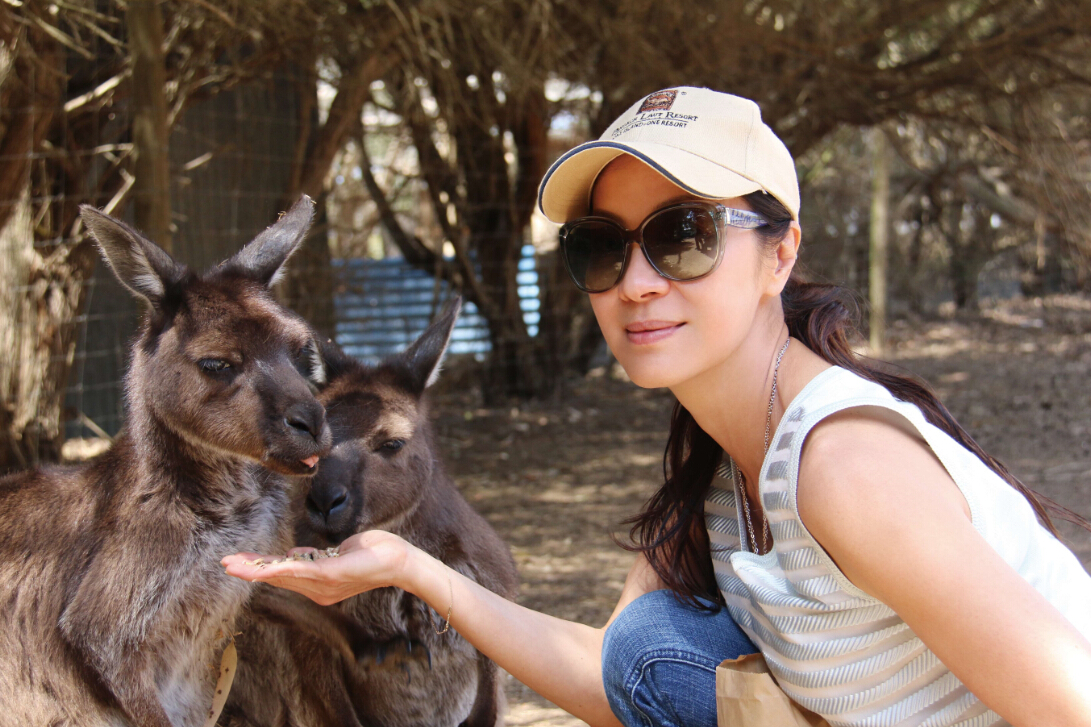 香港电影五十大巨星排行榜（地虎星篇）