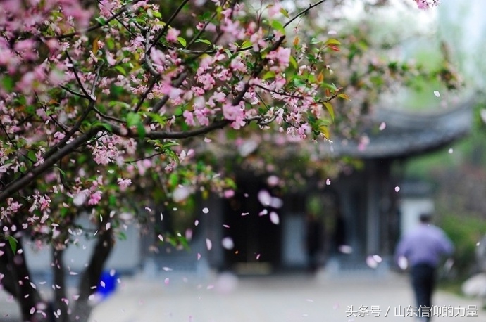 一朝春尽红颜老，花落人亡两不知！