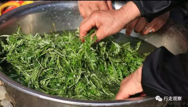 徽州清明艾叶饺：嚼在嘴里艾叶香，念在心底乡愁浓