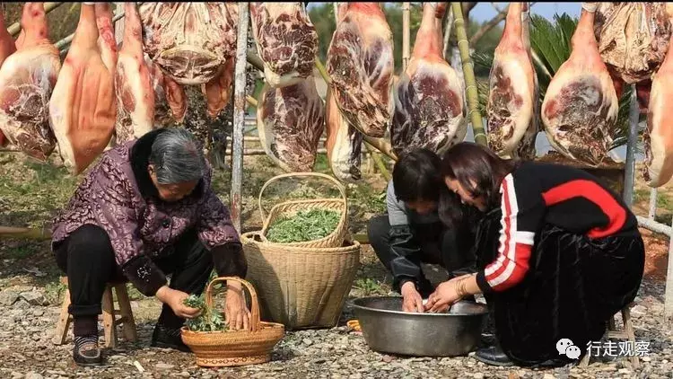 徽州清明艾叶饺：嚼在嘴里艾叶香，念在心底乡愁浓