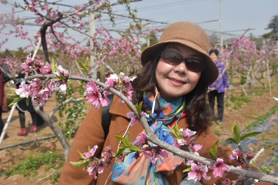 诗词｜蝶恋花——新沂桃花韵