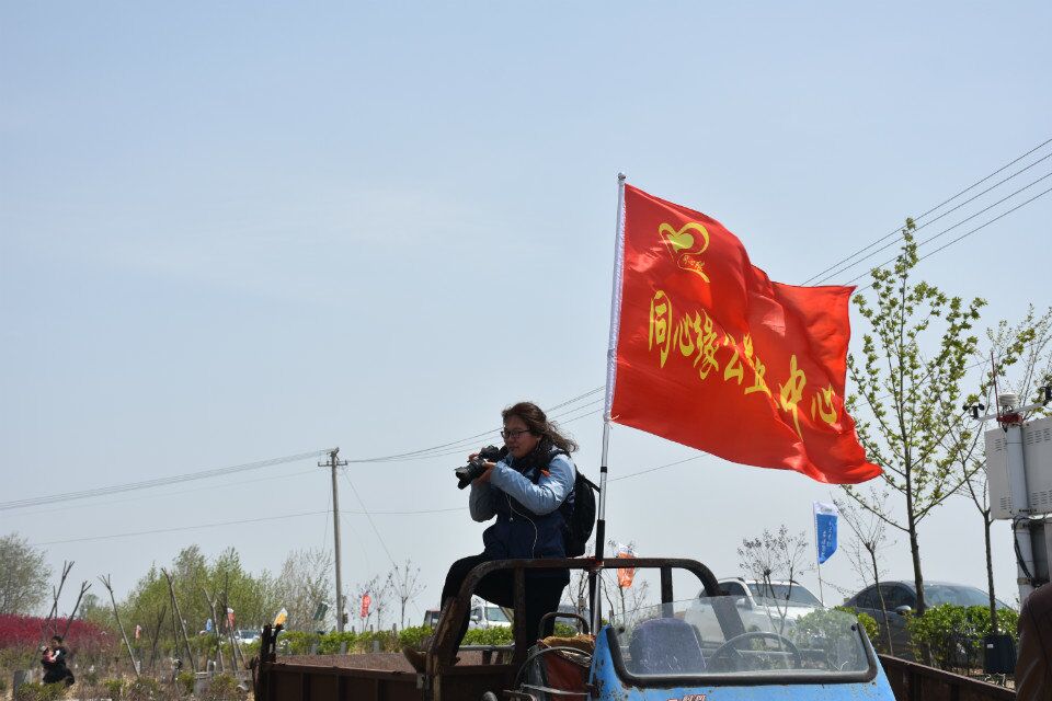 诗词｜蝶恋花——新沂桃花韵