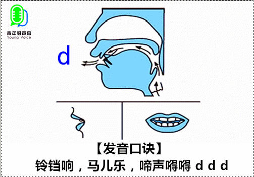 声带发声动图,声带发声图(第2页)_大山谷图库
