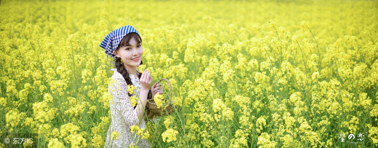 油菜花是什么颜色的（不同品种的油菜花的价值）