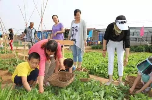 僵尸农场怎么注册（经营家庭农场）