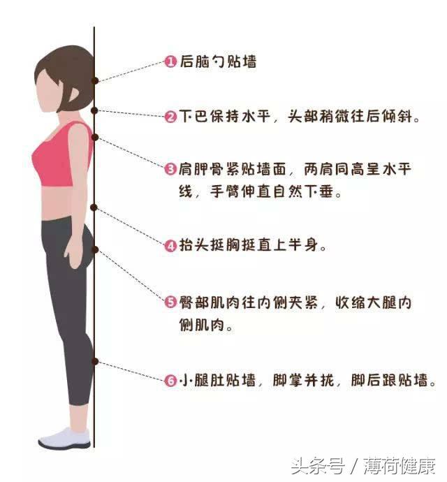 上班族常备的五个办公室减脂修身小技巧