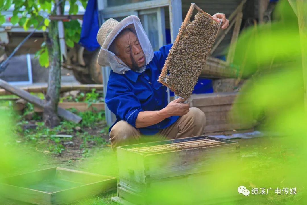 绩溪扬溪镇：风生水起石金山