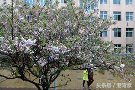中州大地！我国河南省各大学图书馆建筑设计，馆藏规模面面观