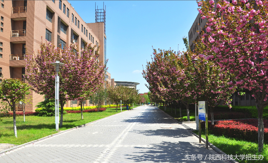 考研成功！陕科大学子为你分享“独家秘笈”，请谨记！